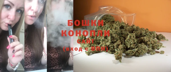 прущий лед Гусев