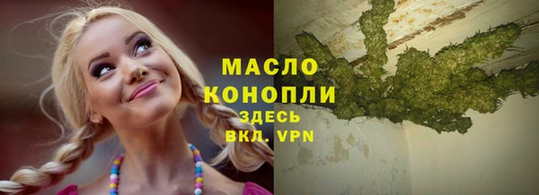 прущий лед Гусев