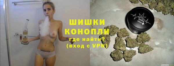 прущий лед Гусев