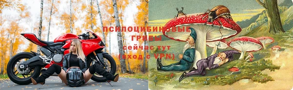 прущая мука Гусь-Хрустальный